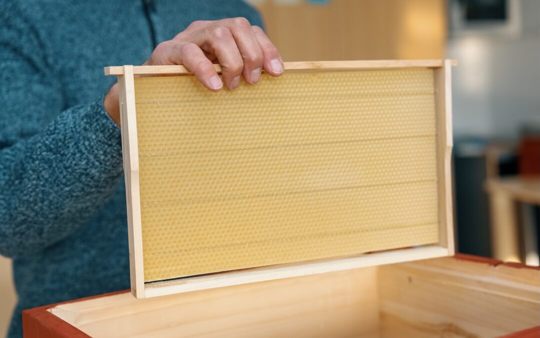 Mit Bienen Berufe entdecken